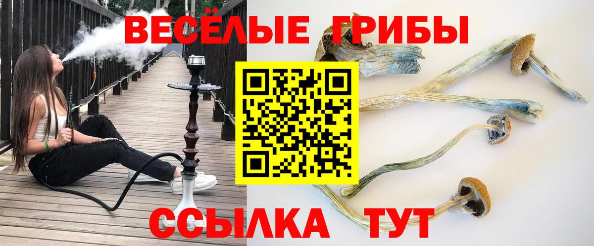 НБОМе Лесосибирск