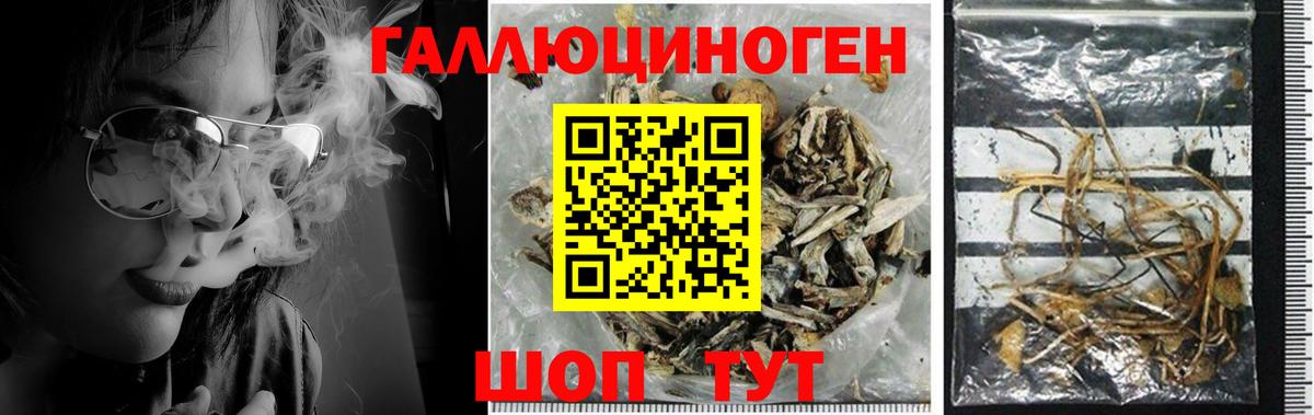 Псилоцибиновые грибы MAGIC MUSHROOMS Лесосибирск