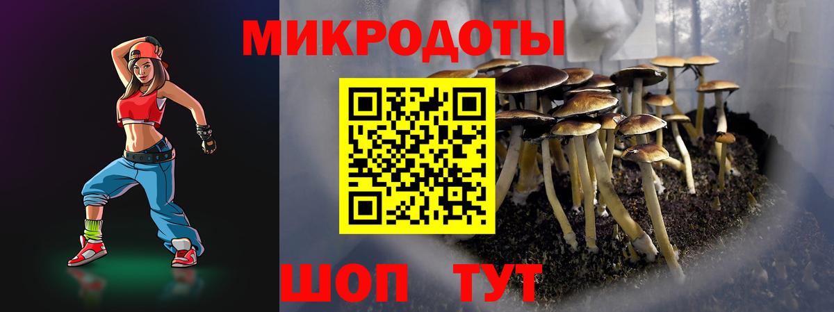 где продают   Вход с VPN  Лесосибирск  Псилоцибиновые грибы Psilocybine cubensis 